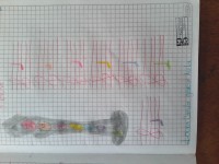 /album/fotografias-/a240712-1019-001-jpg1/